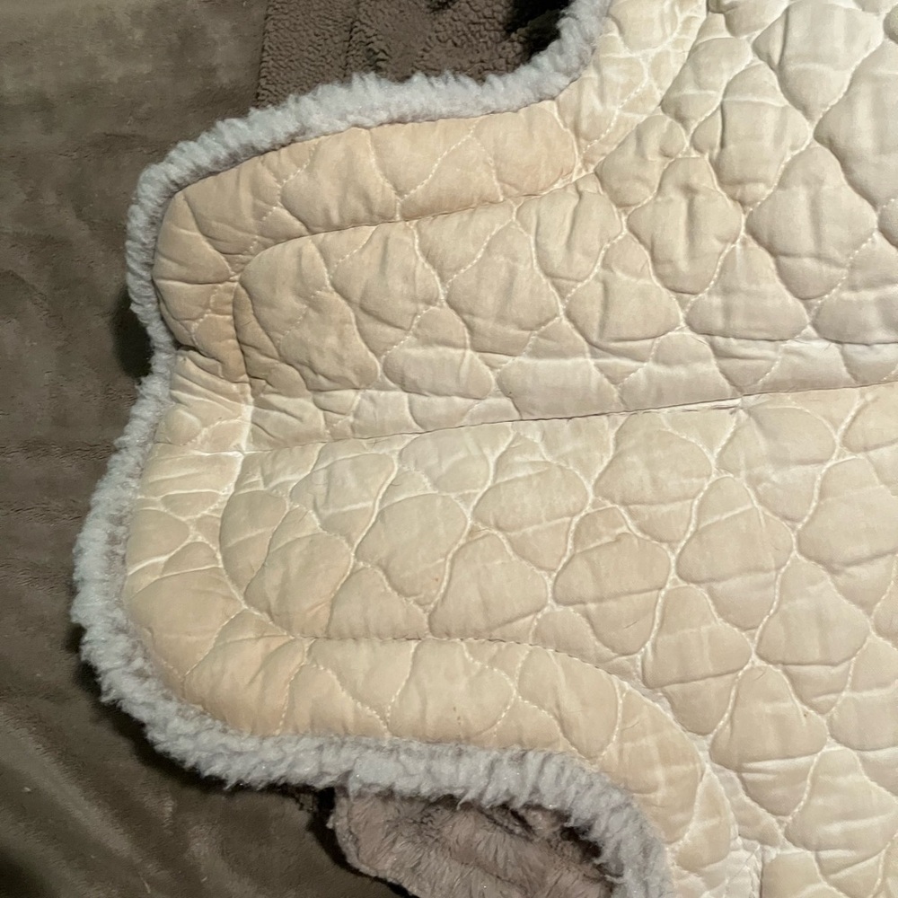 🐴 Toklat Medallion High Profile Saddle Pad - Picture 8 of 9